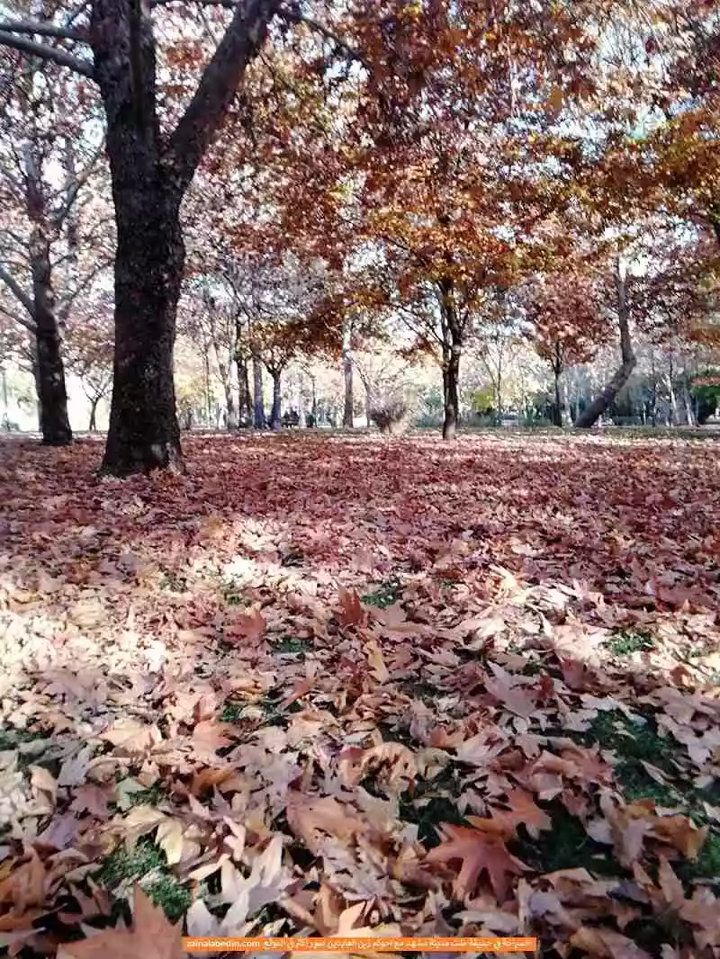 خريف في حديقة ملت مشهد ايران